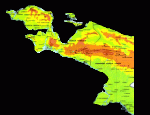 50 Tahun Papua Masih Tertinggal